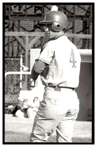 Jack damaska montreal expos - jack,